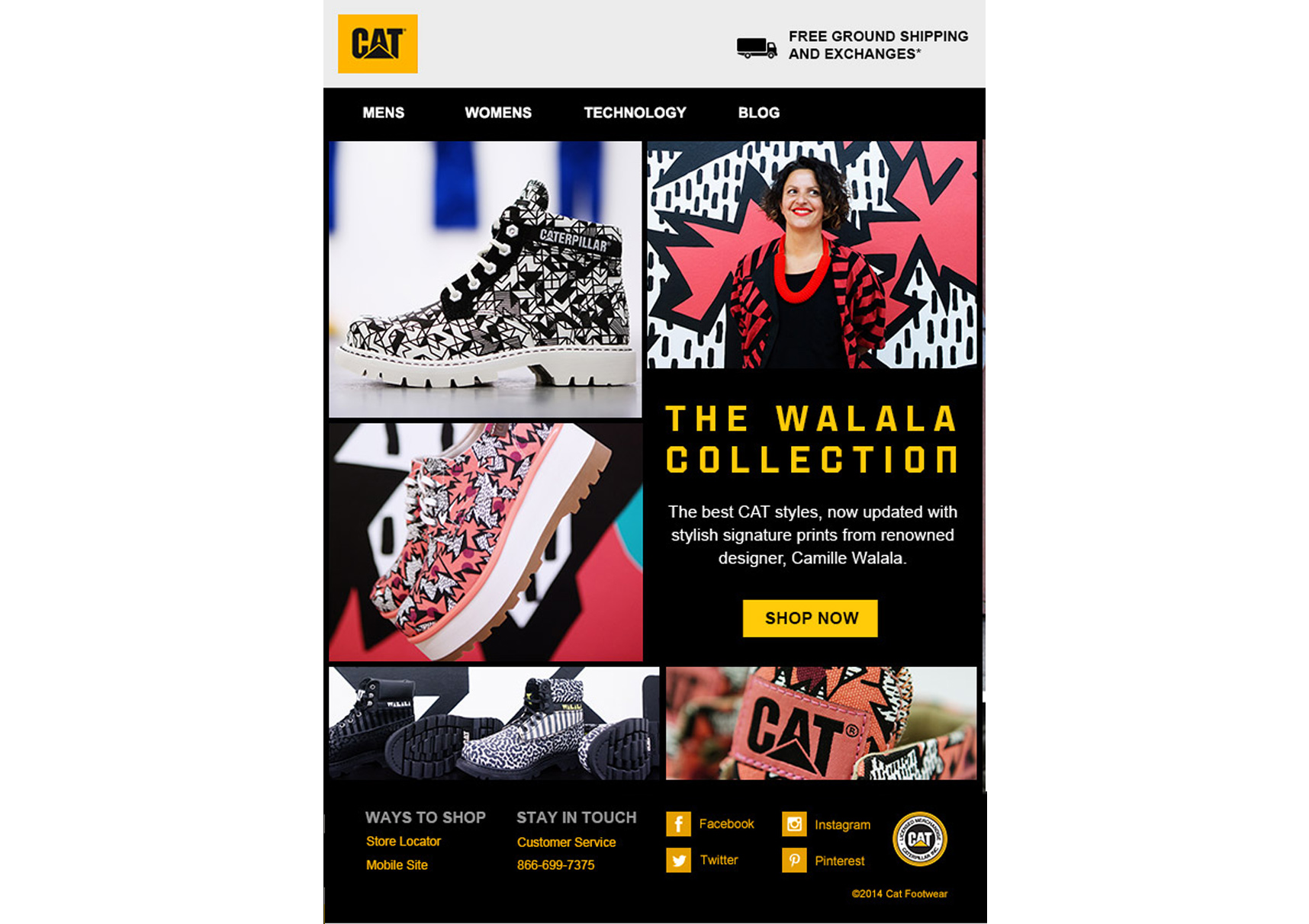 Cat_email2_design_desktop_1716_3081