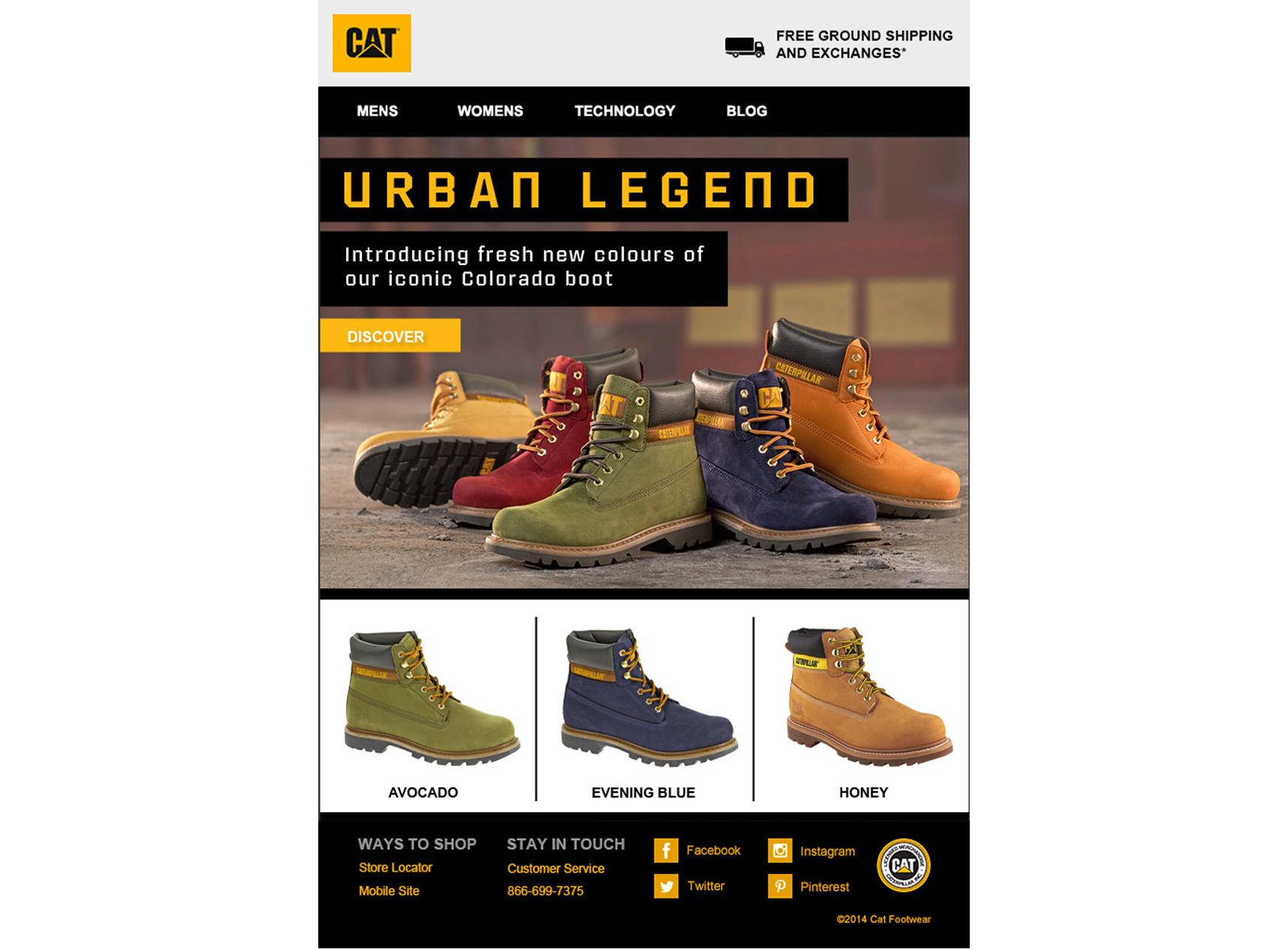 Cat_email3_design_desktop_1716_3081