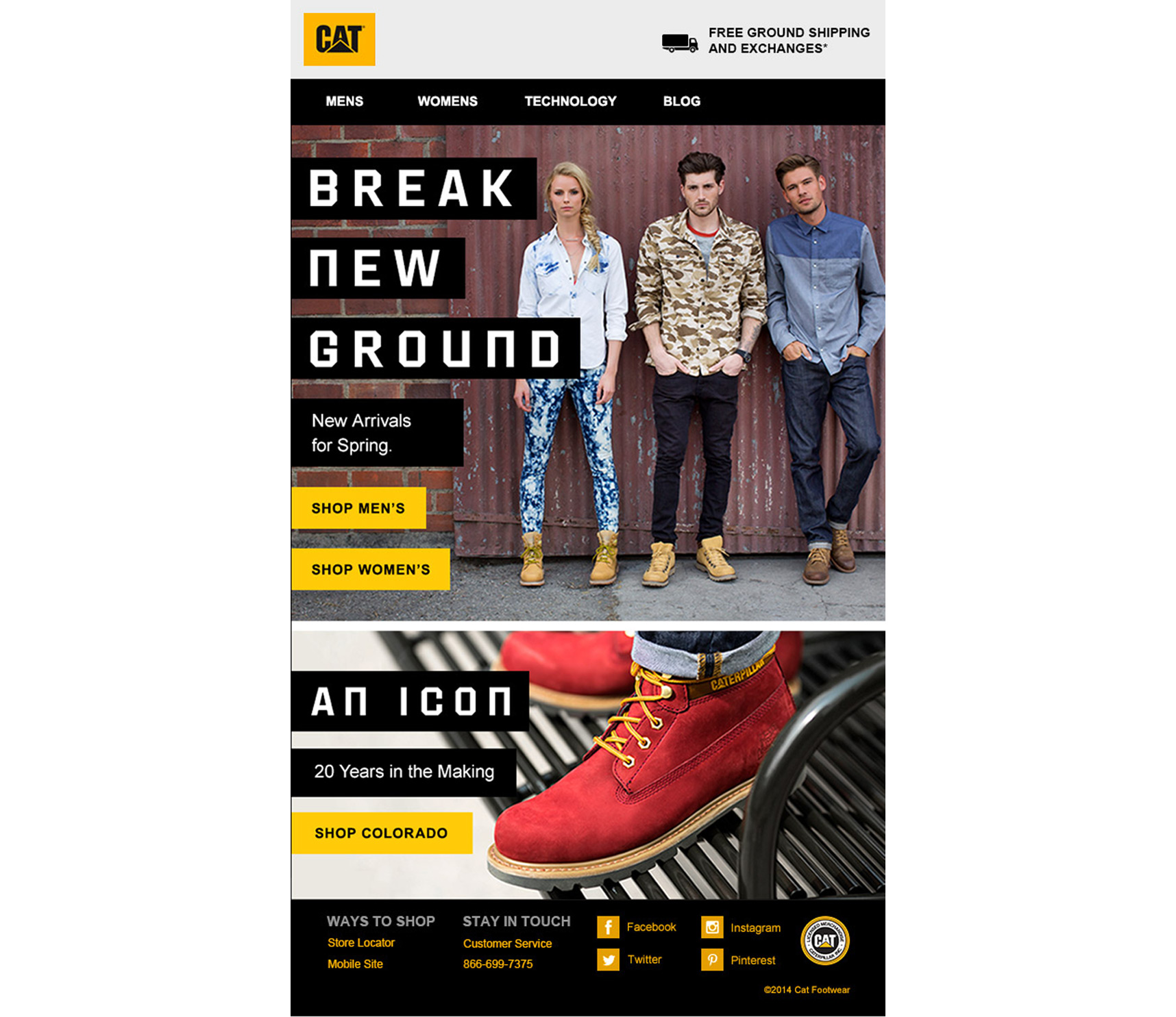 Cat_email_design_desktop_1716_3081